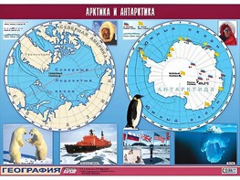 Таблица демонстрационная "Арктика и Антарктика" (винил 100*140) - fgospostavki.ru - Новоалтайск