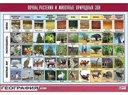 Таблица демонстрационная "Почвы, растения и животные природных зон" (винил 70*100) - fgospostavki.ru - Новоалтайск