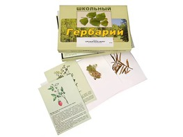 Гербарий "Для начальной школы" (30 видов, с иллюстрациями) - fgospostavki.ru - Новоалтайск
