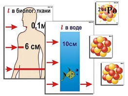 Модель-аппликация "Явление радиоактивности" (ламинированная) - fgospostavki.ru - Новоалтайск