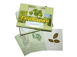 Гербарий "Дикорастущие растения" (30 видов, с иллюстрациями) - fgospostavki.ru - Новоалтайск