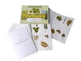 Гербарий "Морфология растений" (6 тем, 30 видов) - fgospostavki.ru - Новоалтайск
