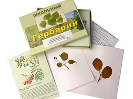 Гербарий "Систематика растений. Семейство Розоцветные" (раздаточный) - fgospostavki.ru - Новоалтайск