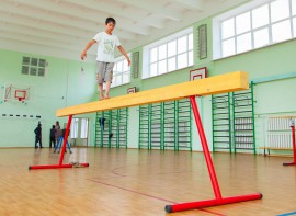 Бревно гимнастическое напольное постоянной высоты (700 мм) (5 м) - fgospostavki.ru - Новоалтайск