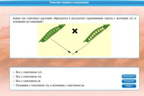 Интерактивные курсы. Биология 11 класс. Базовый. - fgospostavki.ru - Новоалтайск