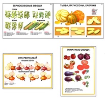 Плакаты ПРОФТЕХ "Ассортимент овощных культур" (12 пл, винил, 70х100) - fgospostavki.ru - Новоалтайск