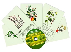 Интерактивный наглядный комплекс "Гербарий "Для начальной школы" - fgospostavki.ru - Новоалтайск