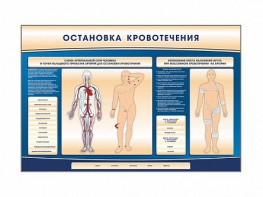 Электрифицированный стенд-тренажер "Остановка кровотечения" - fgospostavki.ru - Новоалтайск
