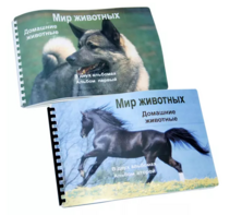 Пособие для слабовидящих - Домашние животные - fgospostavki.ru - Новоалтайск