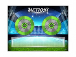 Электрифицированный координационно-развивающий спортивный комплекс "Меткий" - fgospostavki.ru - Новоалтайск
