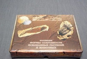 Коллекция "Формы сохранности ископаемых растений и животных" - fgospostavki.ru - Новоалтайск