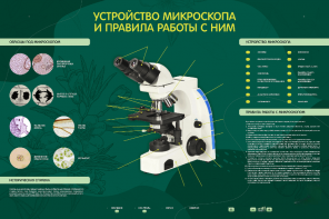 Электрифицированный стенд "Устройство микроскопа и правила работы c ним" - fgospostavki.ru - Новоалтайск