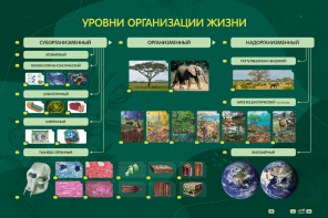 Электрифицированный стенд "Уровни организации жизни" - fgospostavki.ru - Новоалтайск