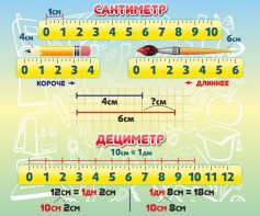 Стенд "Сантиметр" - fgospostavki.ru - Новоалтайск