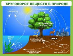 Стенд "Круговорот веществ" - fgospostavki.ru - Новоалтайск