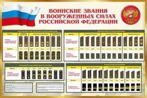 Стенд "Воинские звания в вооруженных силах РФ" - fgospostavki.ru - Новоалтайск