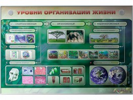 Электрифицированный стенд "Уровни организации жизни" - fgospostavki.ru - Новоалтайск