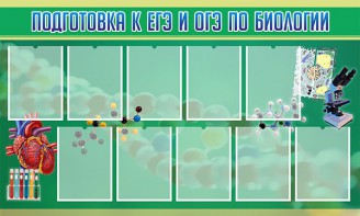 Стенд "Подготовка к ЕГЭ и ОГЭ по биологии" Вариант 2 - fgospostavki.ru - Новоалтайск