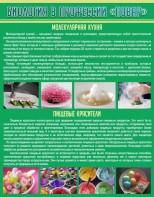 Стенд "Биология в профессии "повар"" - fgospostavki.ru - Новоалтайск