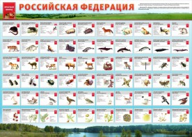 Стенд "Красная книга РФ" - fgospostavki.ru - Новоалтайск