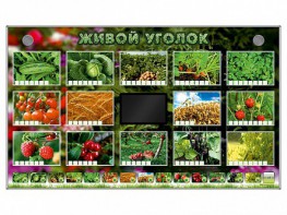 Комплект оборудования "Живой уголок" (растения) - fgospostavki.ru - Новоалтайск
