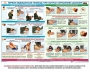 Комплект плакатов "Оказание первой доврачебной медицинской помощи" - fgospostavki.ru - Новоалтайск