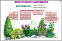 Комплект кодотранспарантов "Культурные растения" - fgospostavki.ru - Новоалтайск